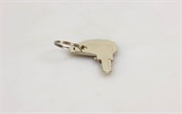 Key for handle, Wasco fridge & freezer