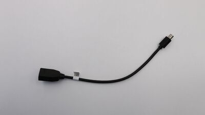 Lenovo - Cable 265mm mindp to DP cab