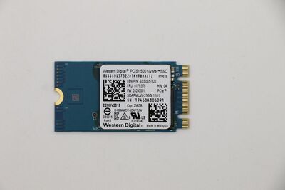 Lenovo - SDK 1101 256G M.2 PCIe 2242 SS