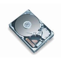 Hewlett Packard Enterprise - HDD/250GB 1.5G SATA 7.2K 3.5