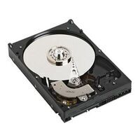 Dell - HDD 1TB 7,2K 3,5 Inch SATA