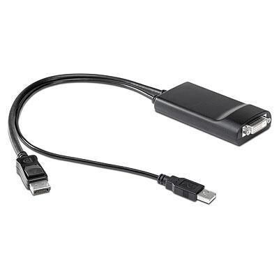 HP - DisplayPort