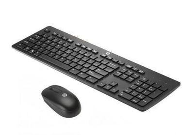 HP - Wireless Kb Dngl Mouse Win8