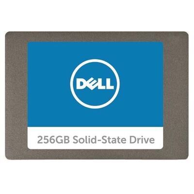 Dell - Serial ATA SSD 256 GB