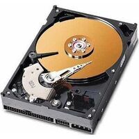 CoreParts - 250GB 3,5" IDE 8MB 7200RPM