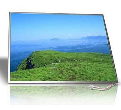 Dell - LCD Display 15,4 Inch WXGA