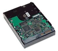 HP - HDD 1TB SATA  NCQ 7200RPM