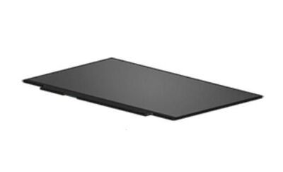 HP - LCD Raw Panel 14 FHD