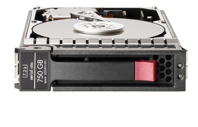 Hewlett Packard Enterprise - HDD 750GB 3.5  7.2K SATA