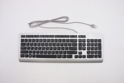 Lenovo - USB Keyboard Silver US Euro