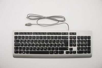 Lenovo - USB Keyboard Silver Slovenian