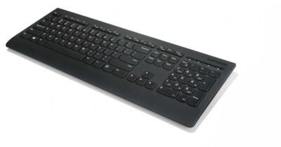 Lenovo - Keyboard MICE BO Wireless US