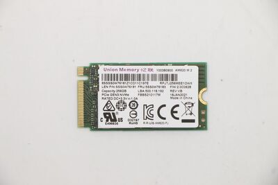 Lenovo - UMIS AM620 256G PCIe 2242 SSD