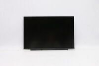 Lenovo - 14-inch IPS display panel,