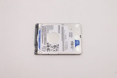 Lenovo - WD Palmer BP WD10SPZX-08Z10