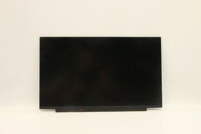 Lenovo - DISPLAY FRU AU B156HAN02.1 ZA