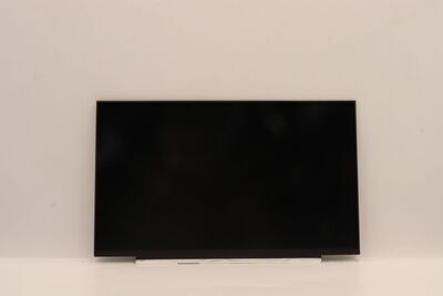 Lenovo - DISPLAY FRU INX N140HGA-EA1