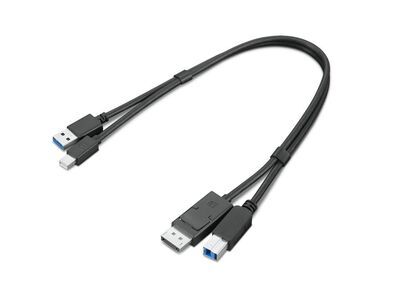 Lenovo - Usb Cable 0.43 M Usb 3.2 Gen