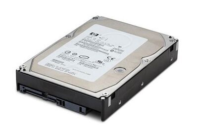 Hewlett Packard Enterprise - HDD 500GB 2.5 7.2K 6G