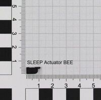 Nintendo - ACT/SLEEP (K1) BEE